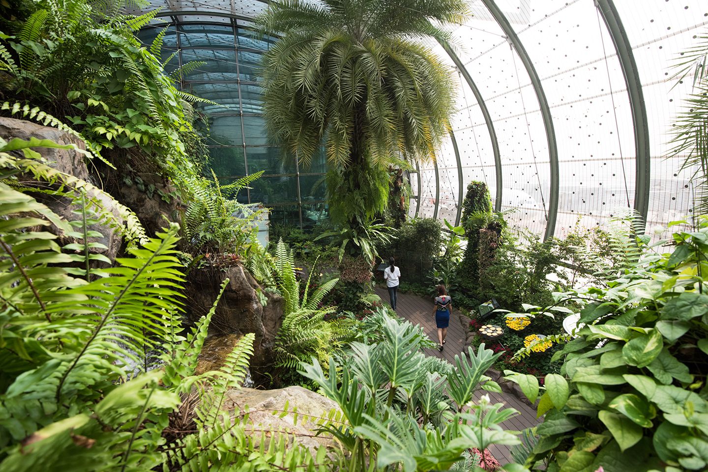O Butterfly Garden (jardim das borboletas) é o primeiro do tipo em aeroportos. Uma profusão de flores e verde: todas verdadeiras? Em seu perfil do instagram , Changi revelou que 97% das plantas ali são naturais