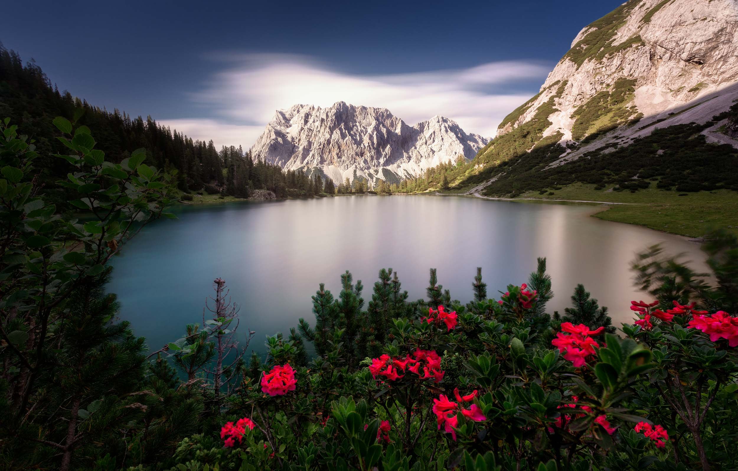 Seebensee lake surround by red flowers in front of Zugspitze, the hightest mountain of Germany. The long exposure capture has blurred the water of the lake and the clouds above the mountain. 