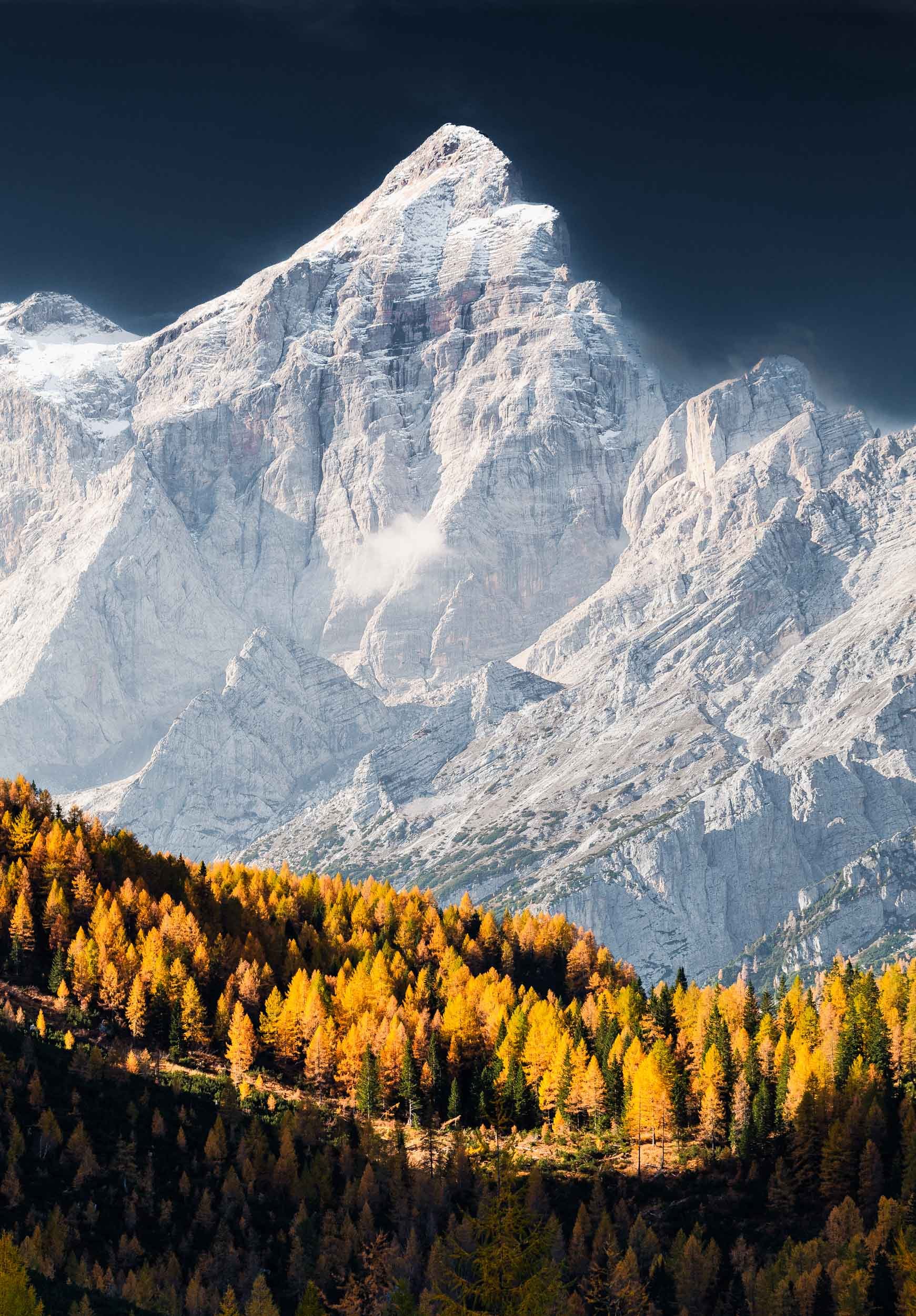 Snow and ice-covered mountain peak of Civetta in the Dolomites towering over a valley of sun-lit larches during autumn. 