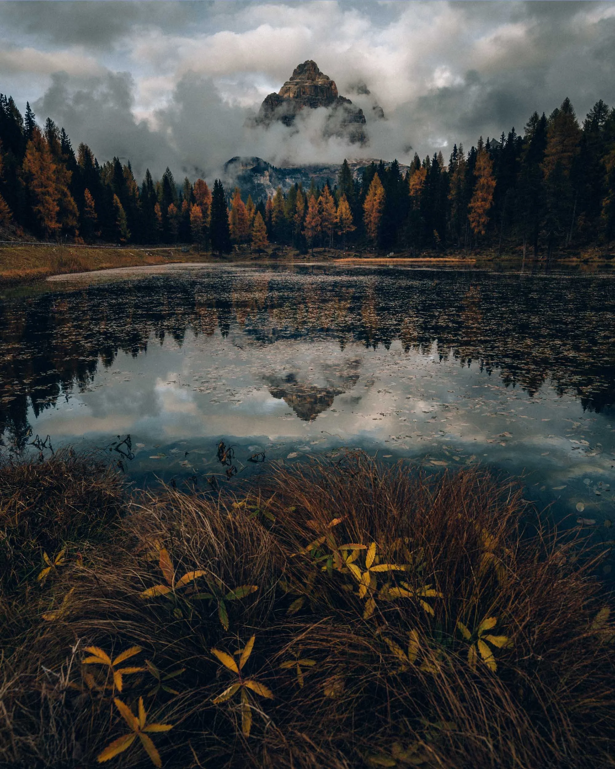 The three peaks of the Italian Dolomites reflected in the lake of Lago Antorno in autumn with flowers in the foreground. 