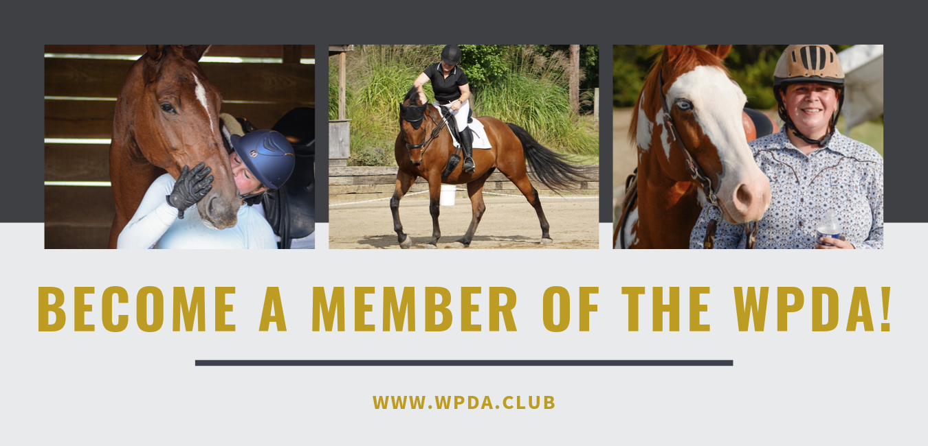 Membership Banner (Website).png