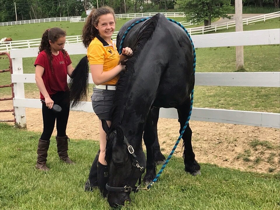 Youth Horse Wash.JPG