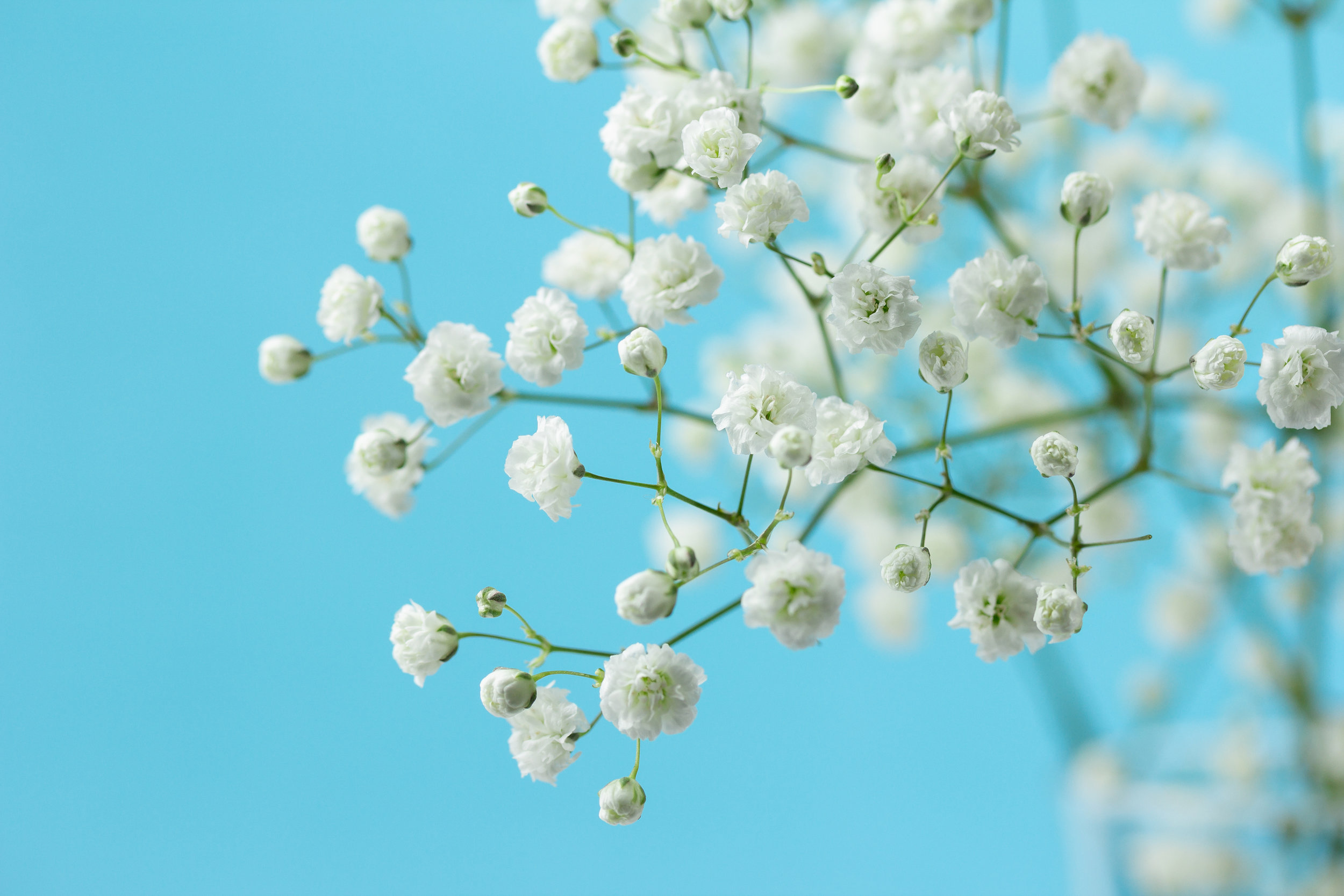 Choose Breathwork