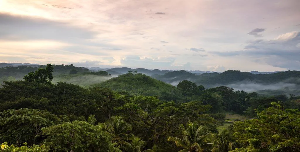 Beckley Retreats In Jamaica 