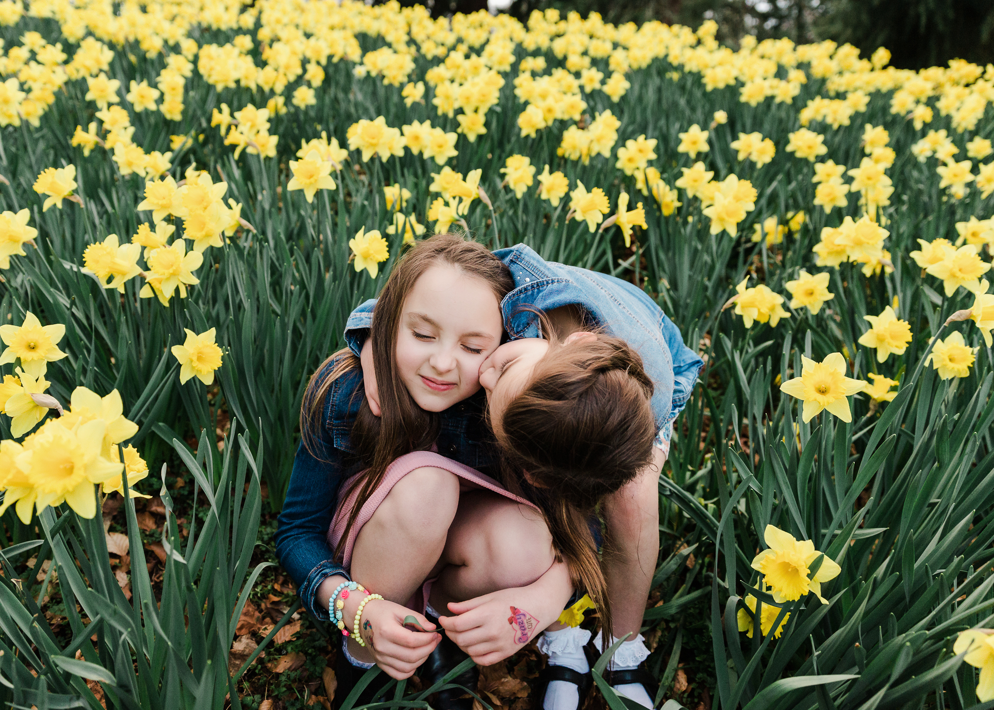 aberdeen family photographer banchory photographer daffodils