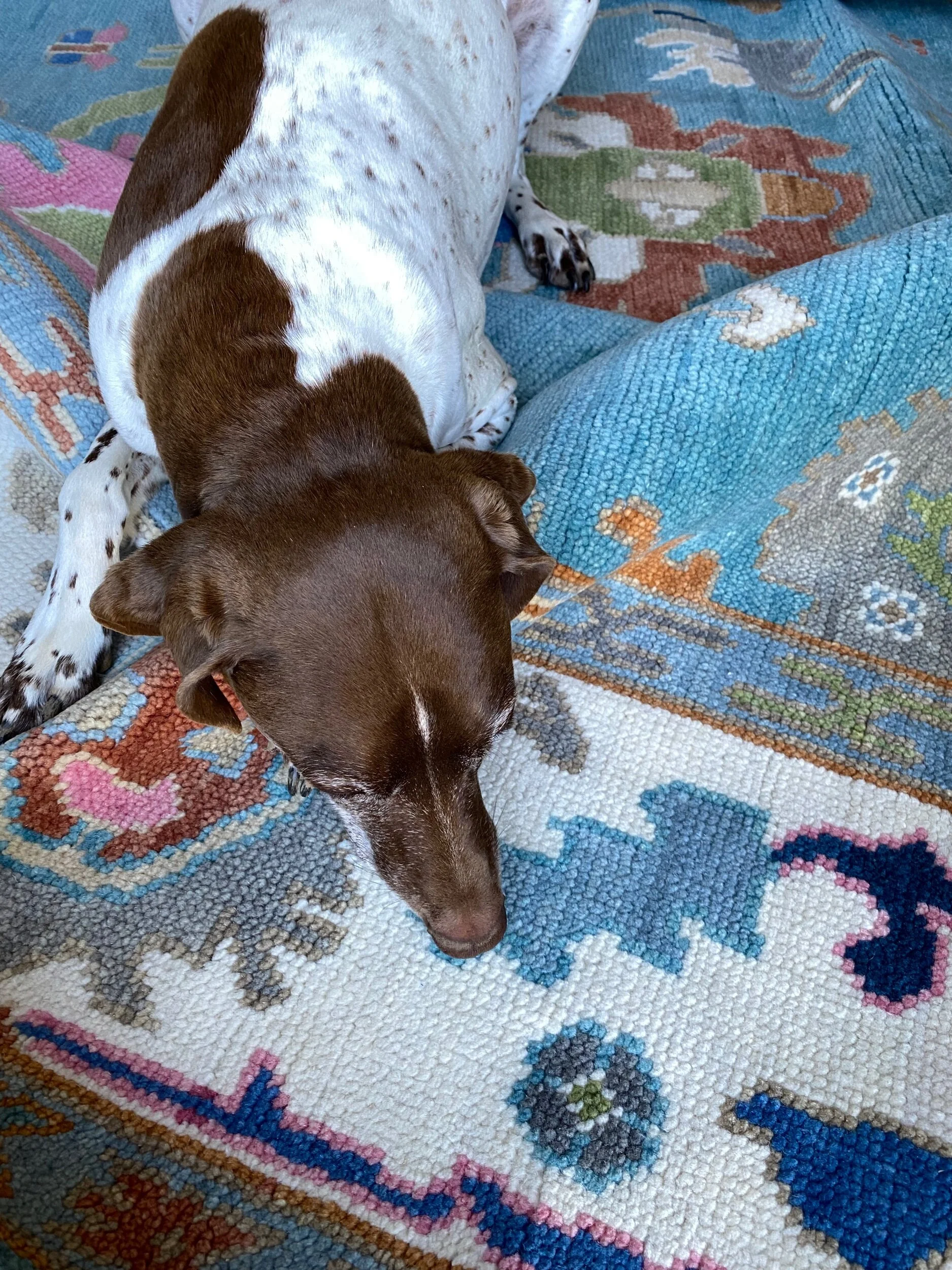 1EF2BA6C-074C-4AED-9FFC-05D267FE03A2