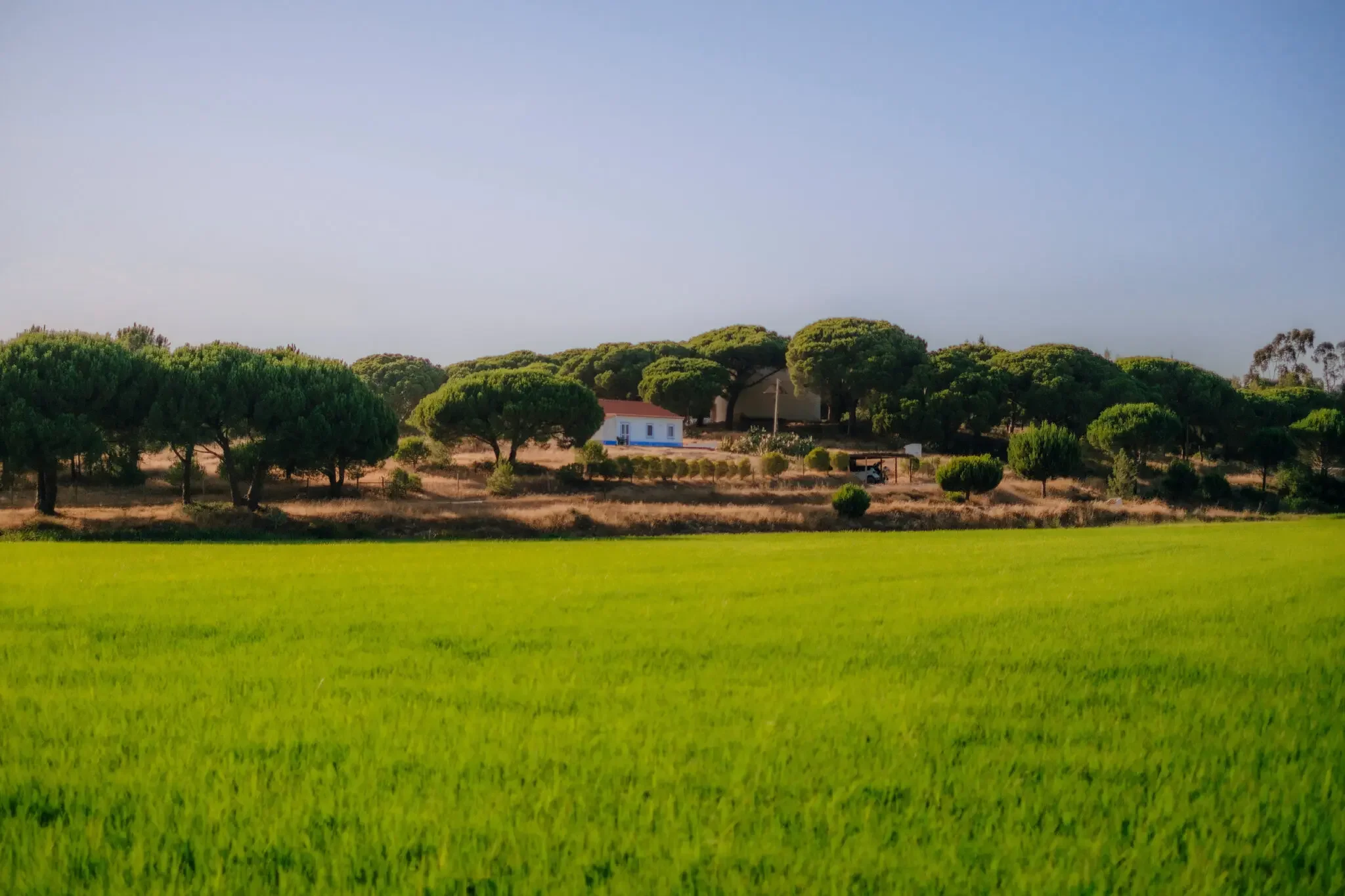 The Idyllic Portuguese Coast That Still Feels Like a Secret