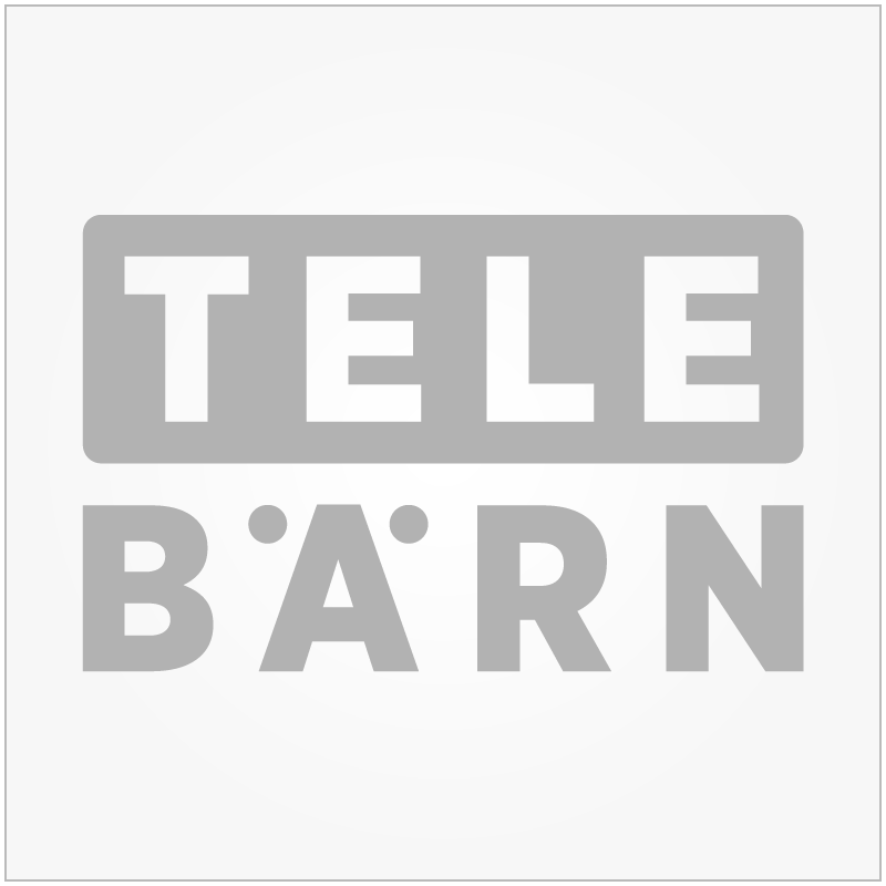TeleBärn