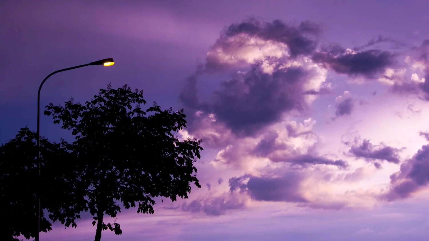 Purple Sky