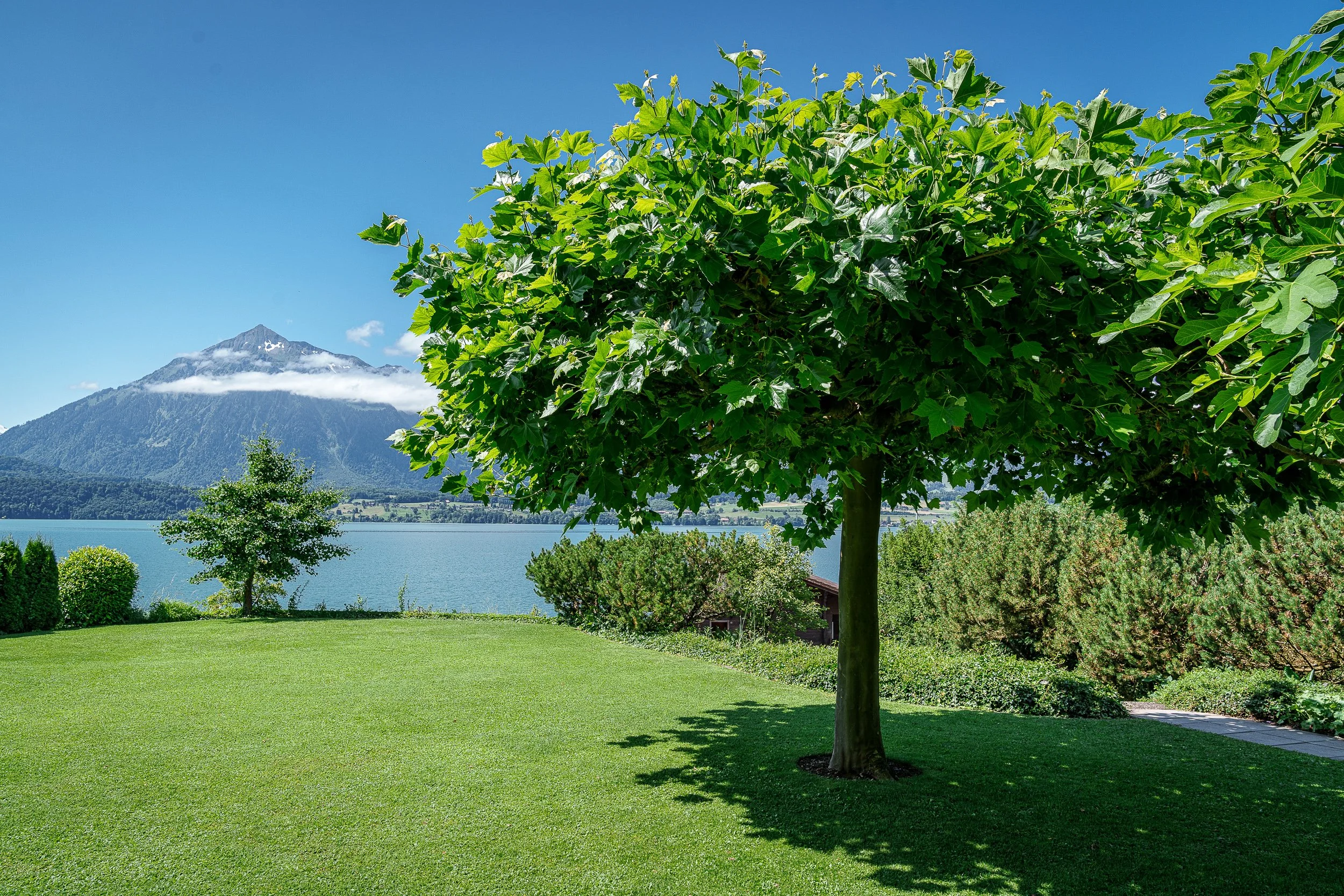 Gartengestaltung Oberhofen