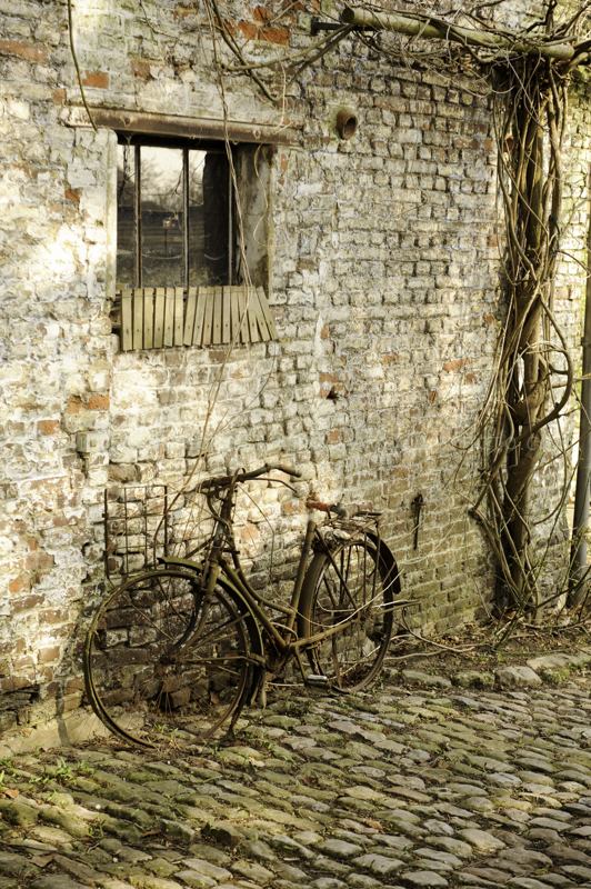 Belgian Bike