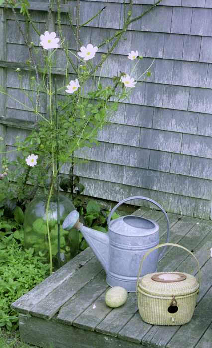 watering can-1.jpg