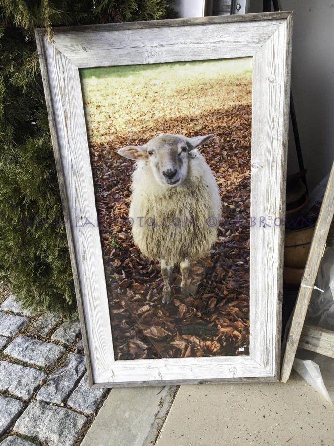 LABPHOTO Framing - 21.jpg