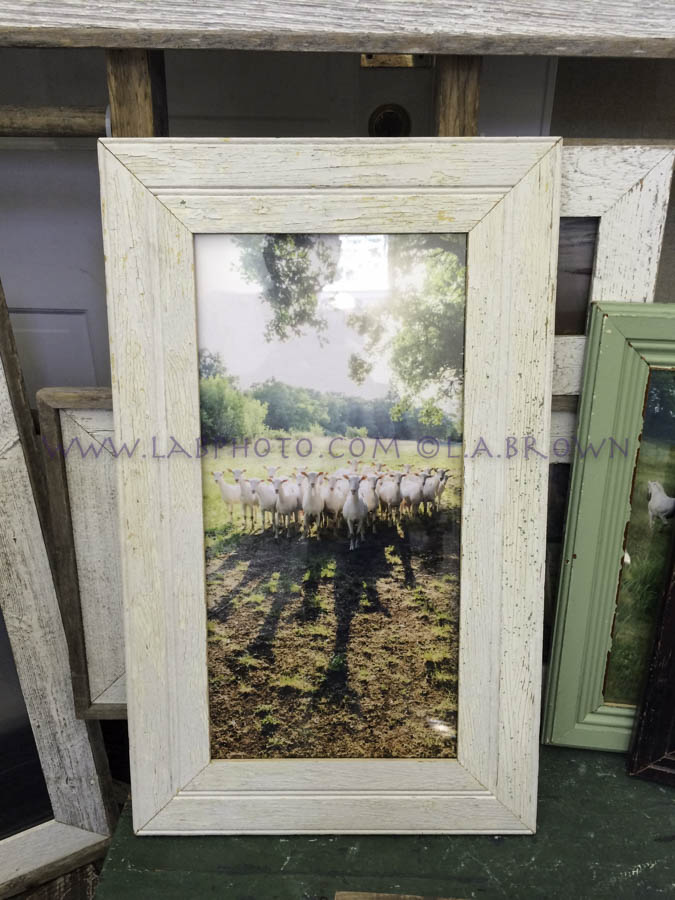 LABPHOTO Framing - 35.jpg