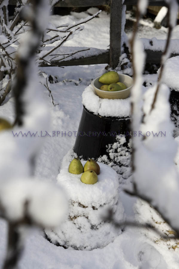 LABPHOTO Still Life-5.jpg