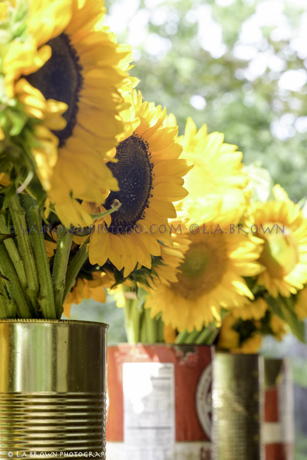 LABPHOTO Still Life-55.jpg