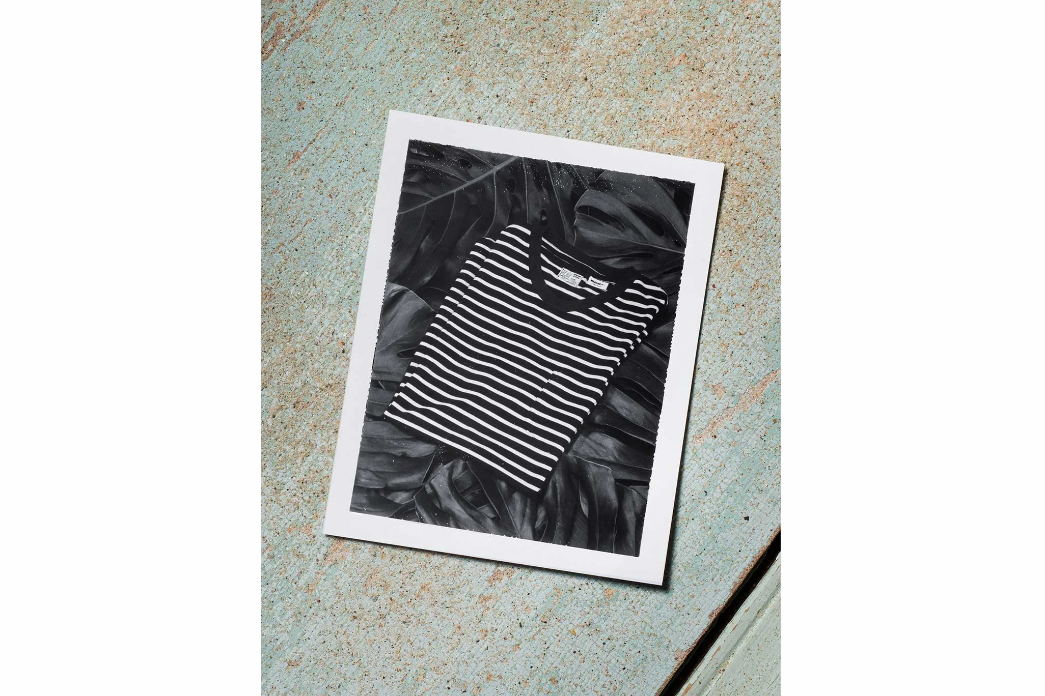 mnii 03.jpg