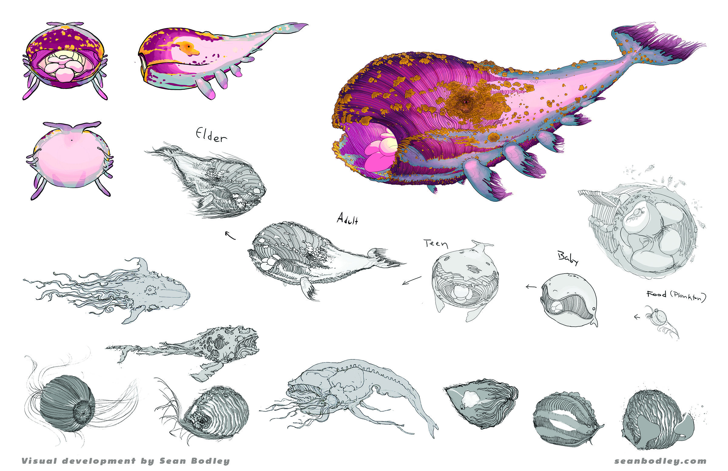 Glow Whale design process