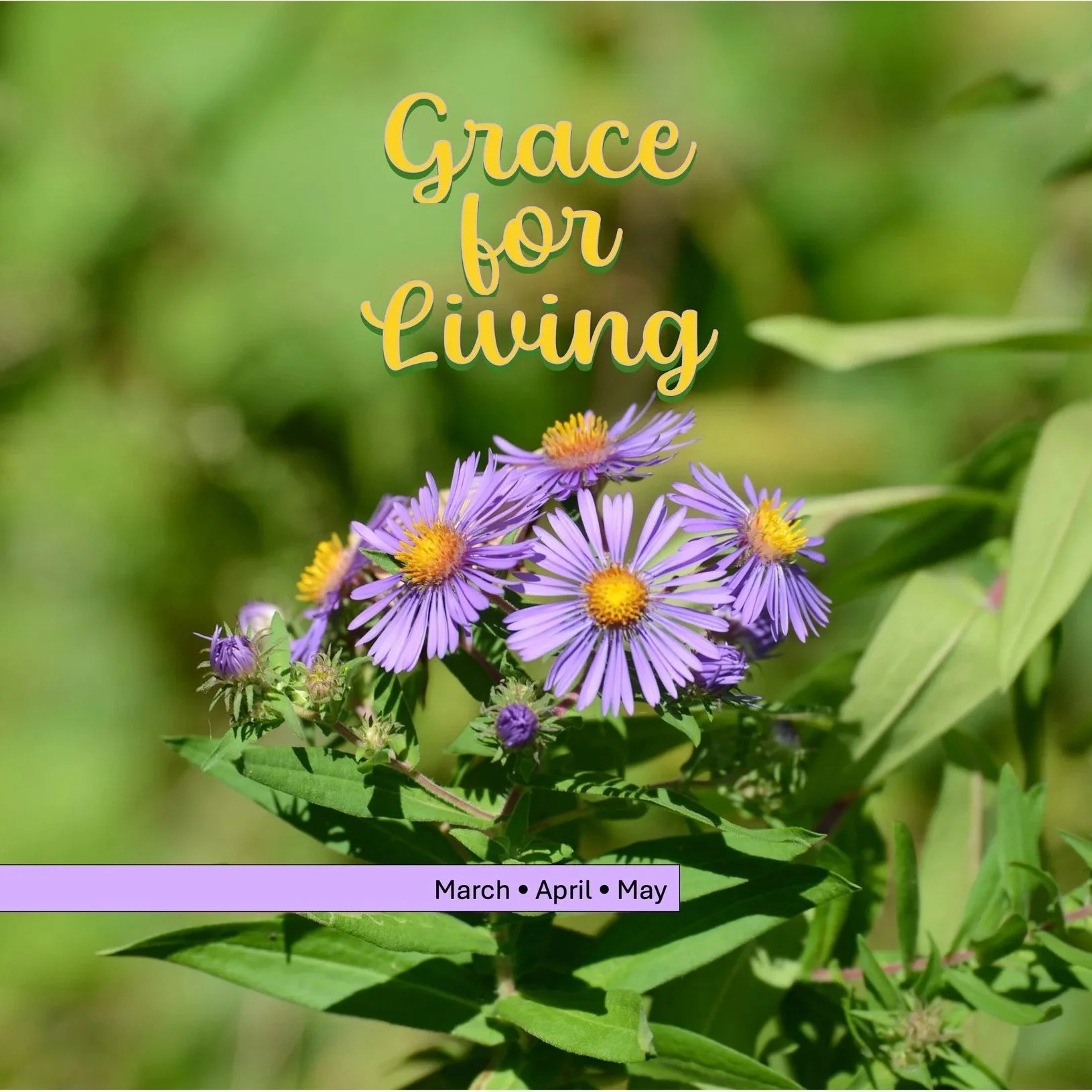 March, April, May GFL