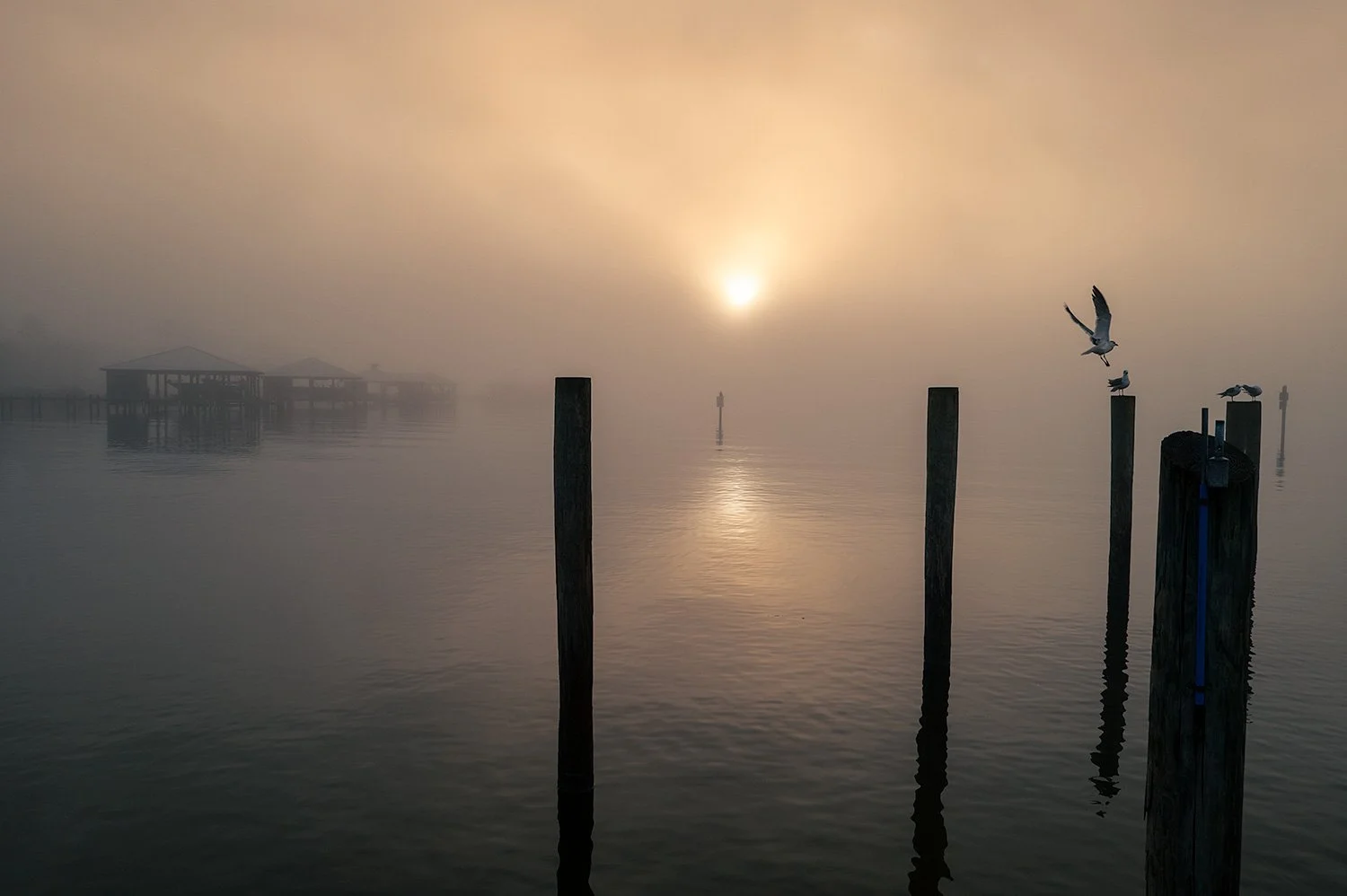 To Arnica Bay (Click to Explore)