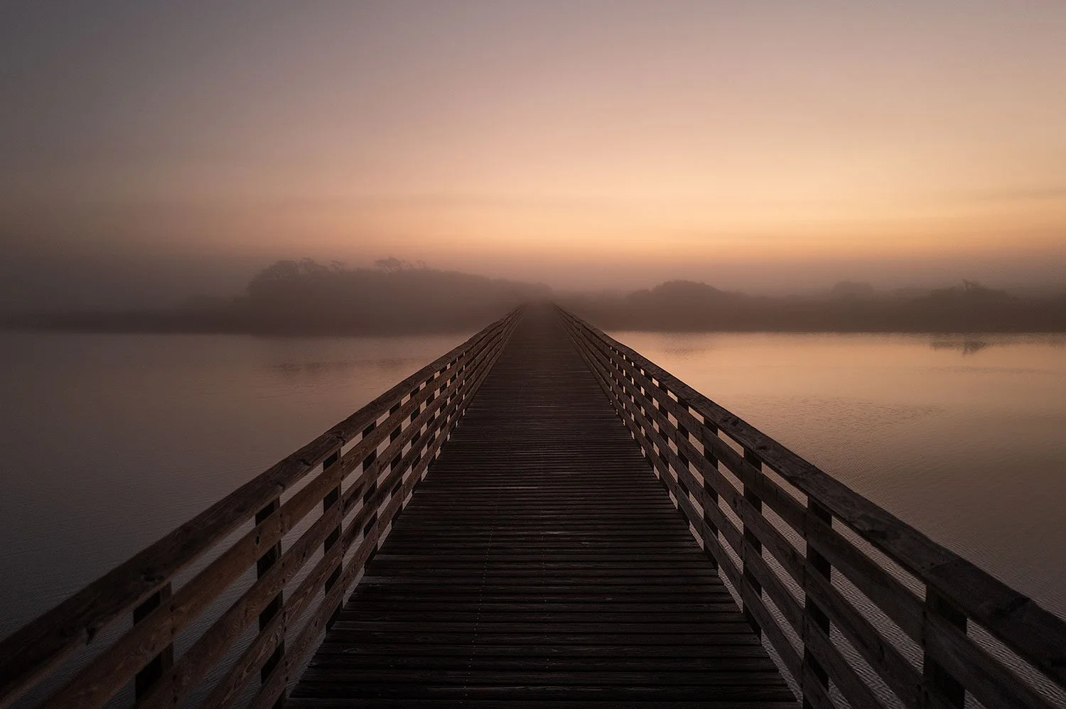 Lake Crossing Boardwalk (Click to Explore)