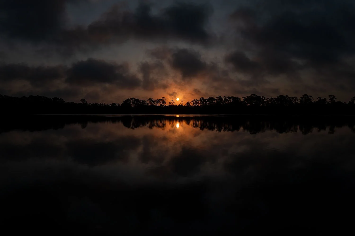 Make an Imaginary Wish (Click to Explore)