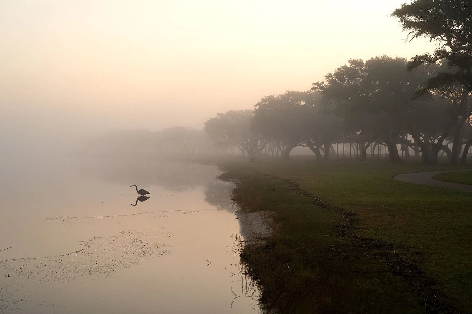 Lake Shelby Experience (Click to Explore)