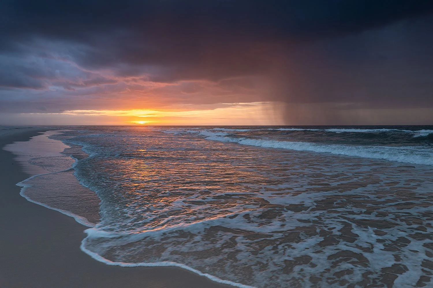 Spring at the Gulf (Click to Explore)