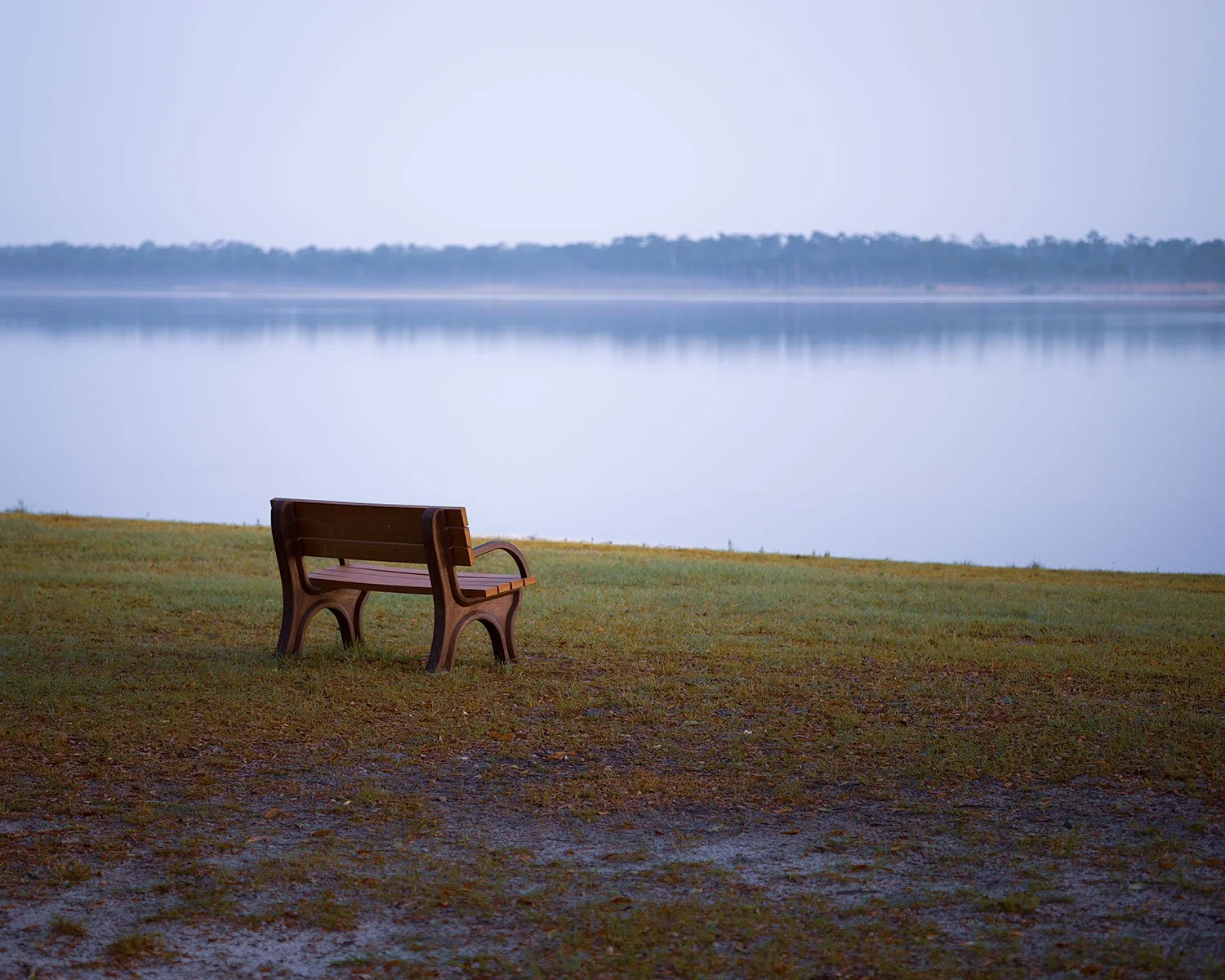 Spaces That Heal Us (Click to Explore)
