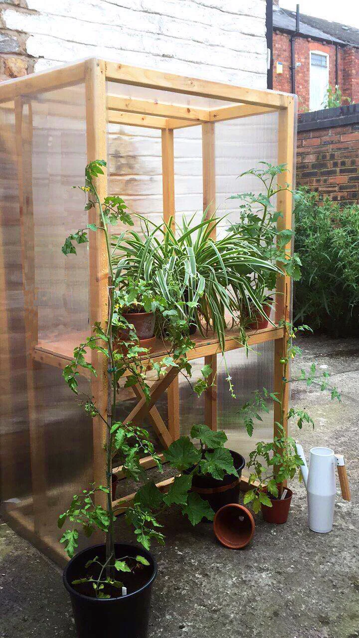 greenhouse 2.jpg