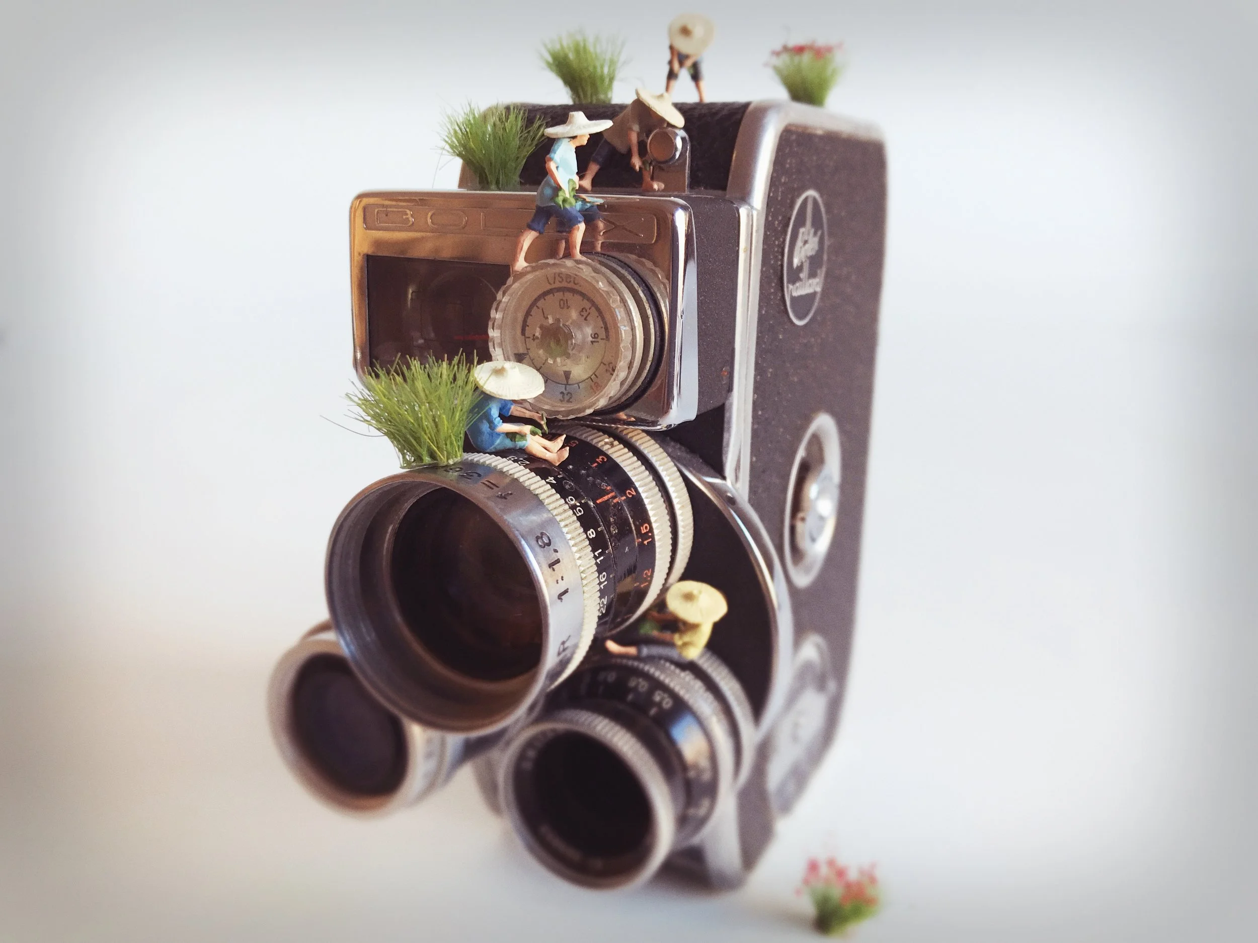 BOLEX_01.jpg