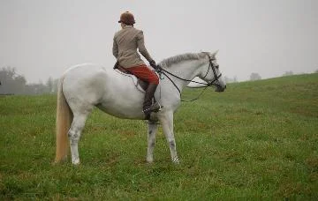 Sterling Silver (now Foxglen's Lady Margaret)