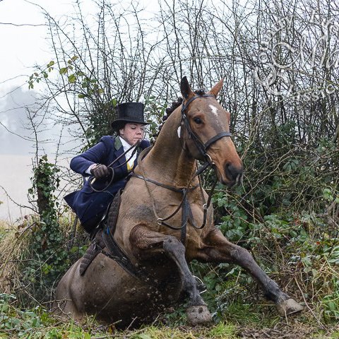 Jumping a ditch while out with the Meath Foxhounds in Co. Meath, north of Dublin.