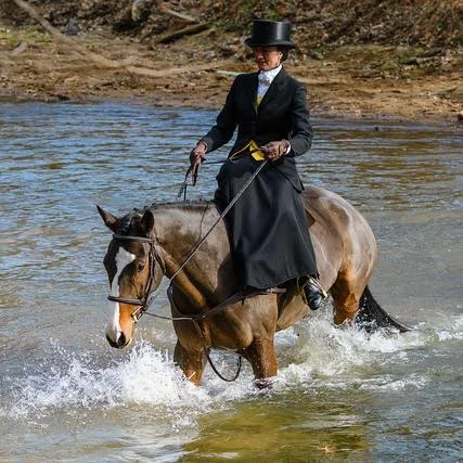SullySaraXmasParade2017WaterCrossing.jpg