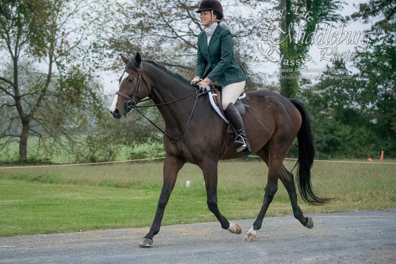 SullyPFHSalem2018Trot.jpg