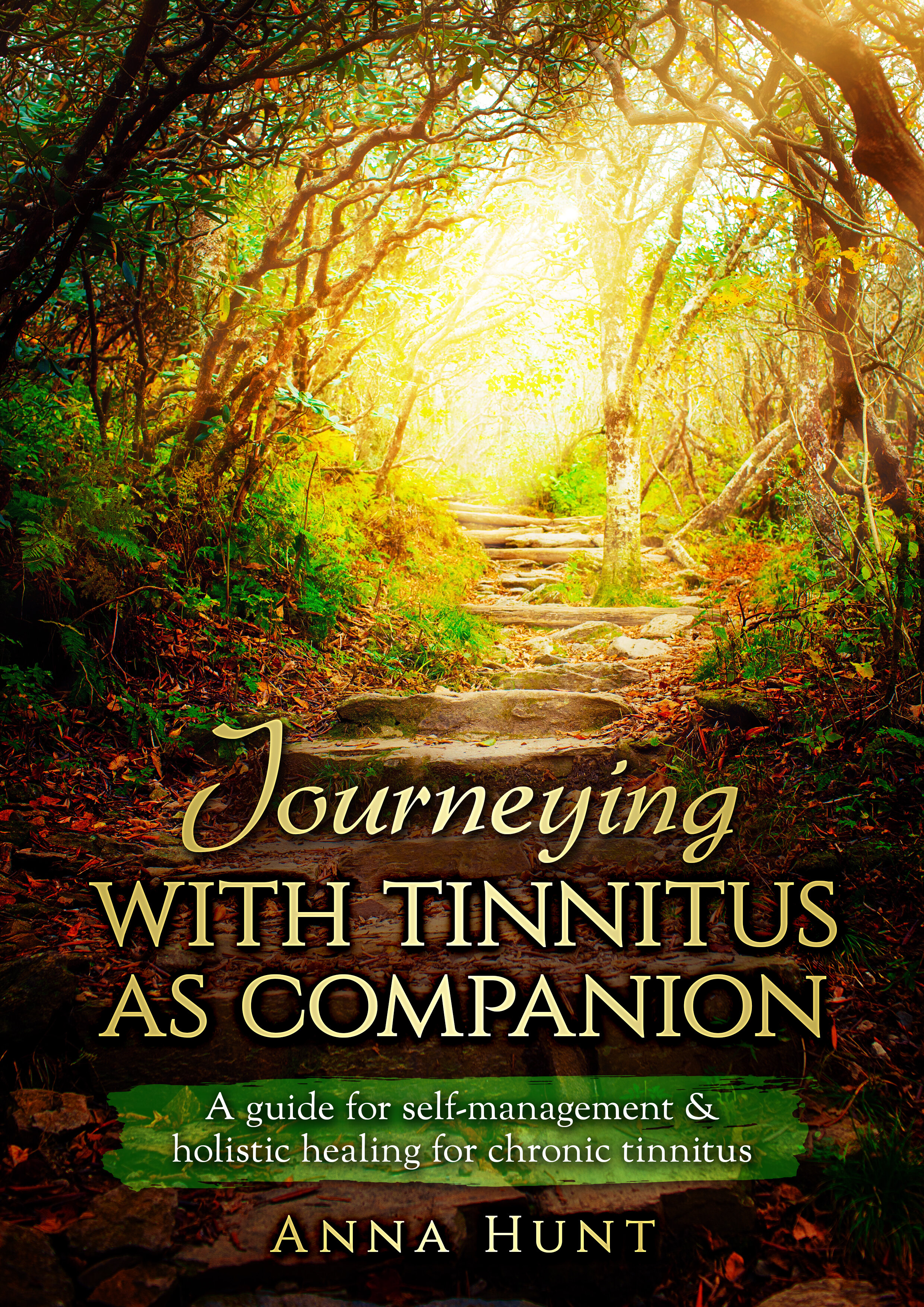Journeying with tinnitus as companion 