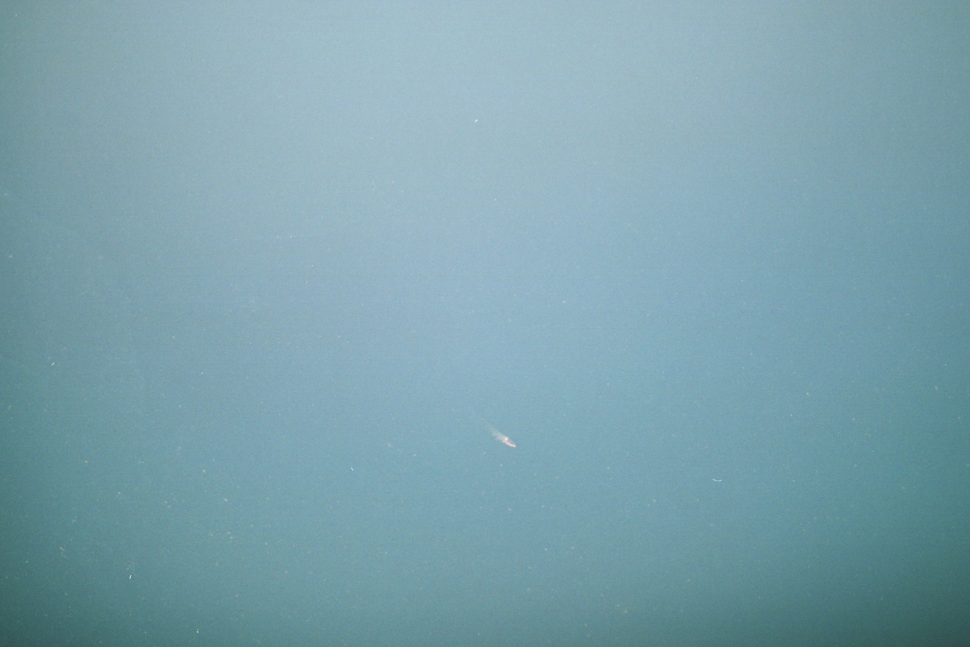 Lonely Boat, Summer 2017