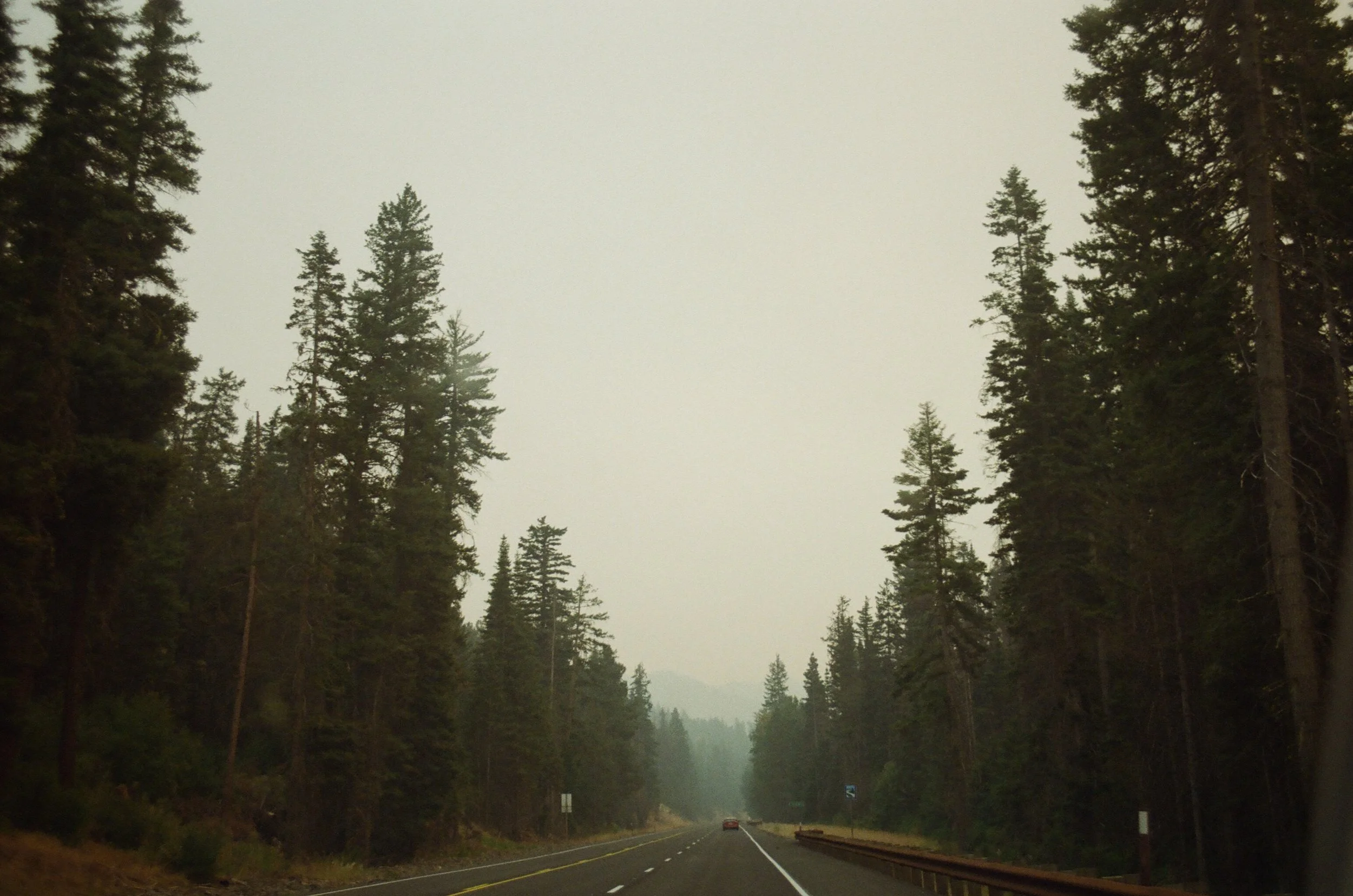 Post Wildfire, Summer 2017
