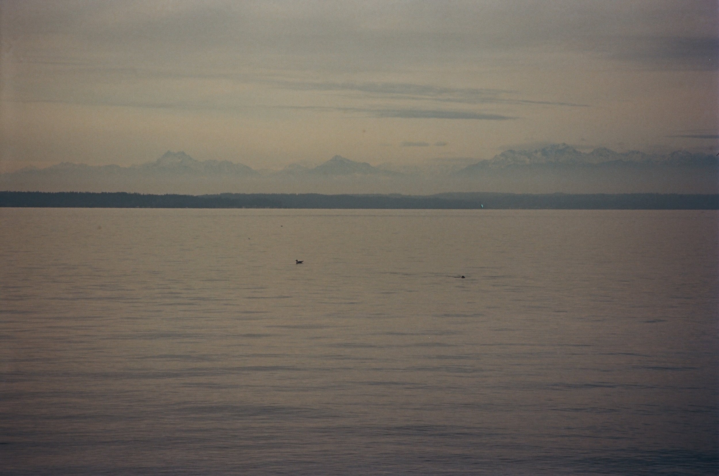 Hazy, 2019