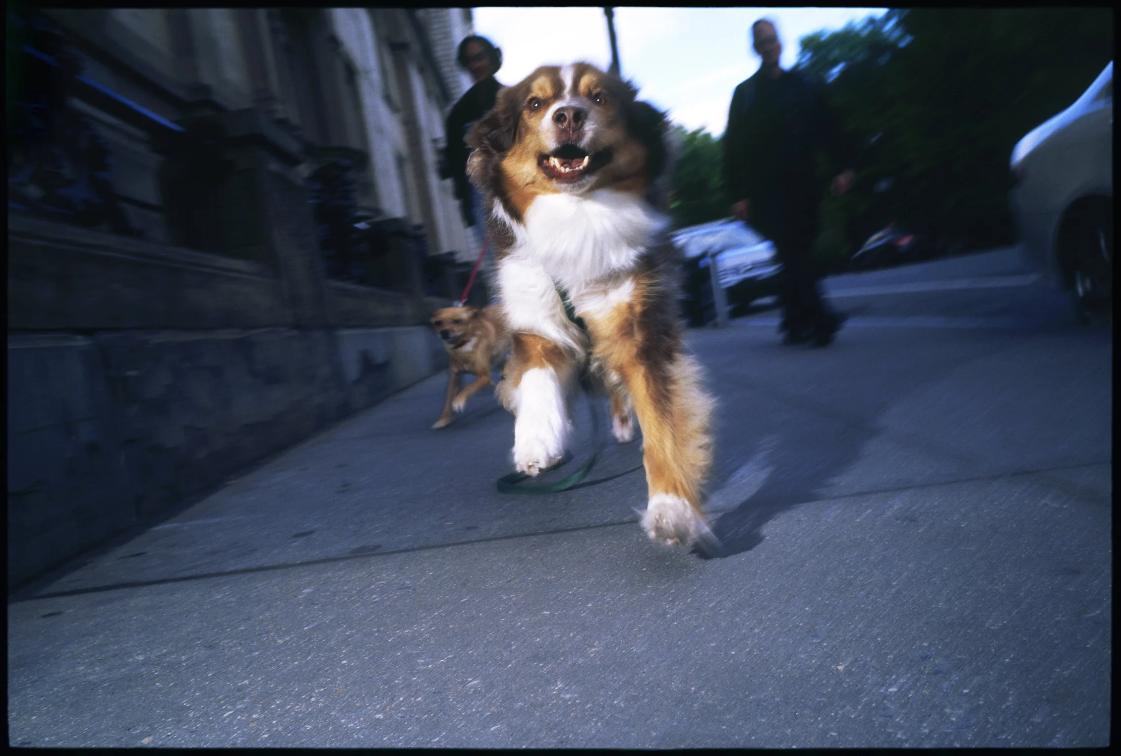 Personal_NYC_Bobo_0002209200_13A.jpg