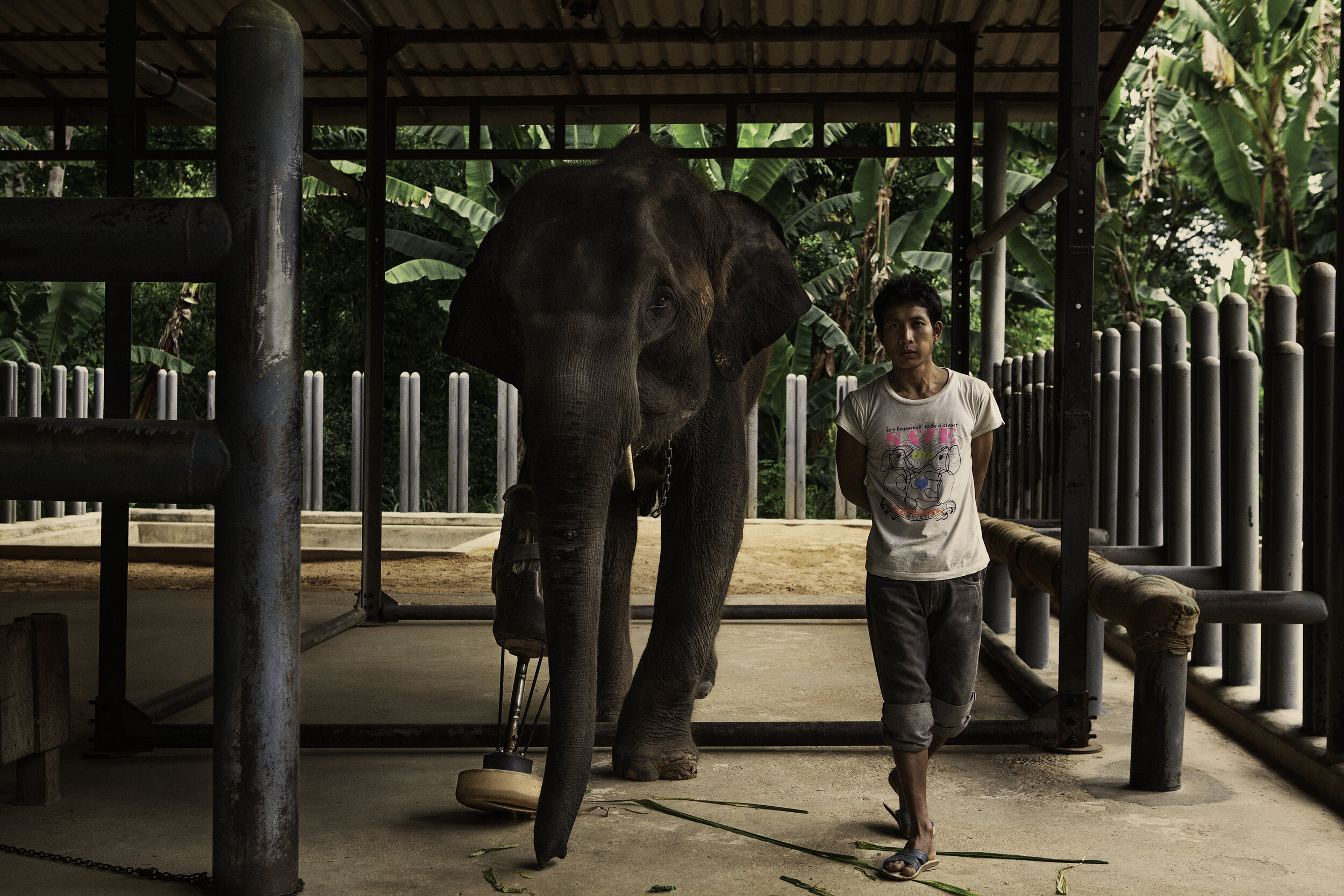 Personal_FAE_Thailand_2015_IMG_1909.jpg