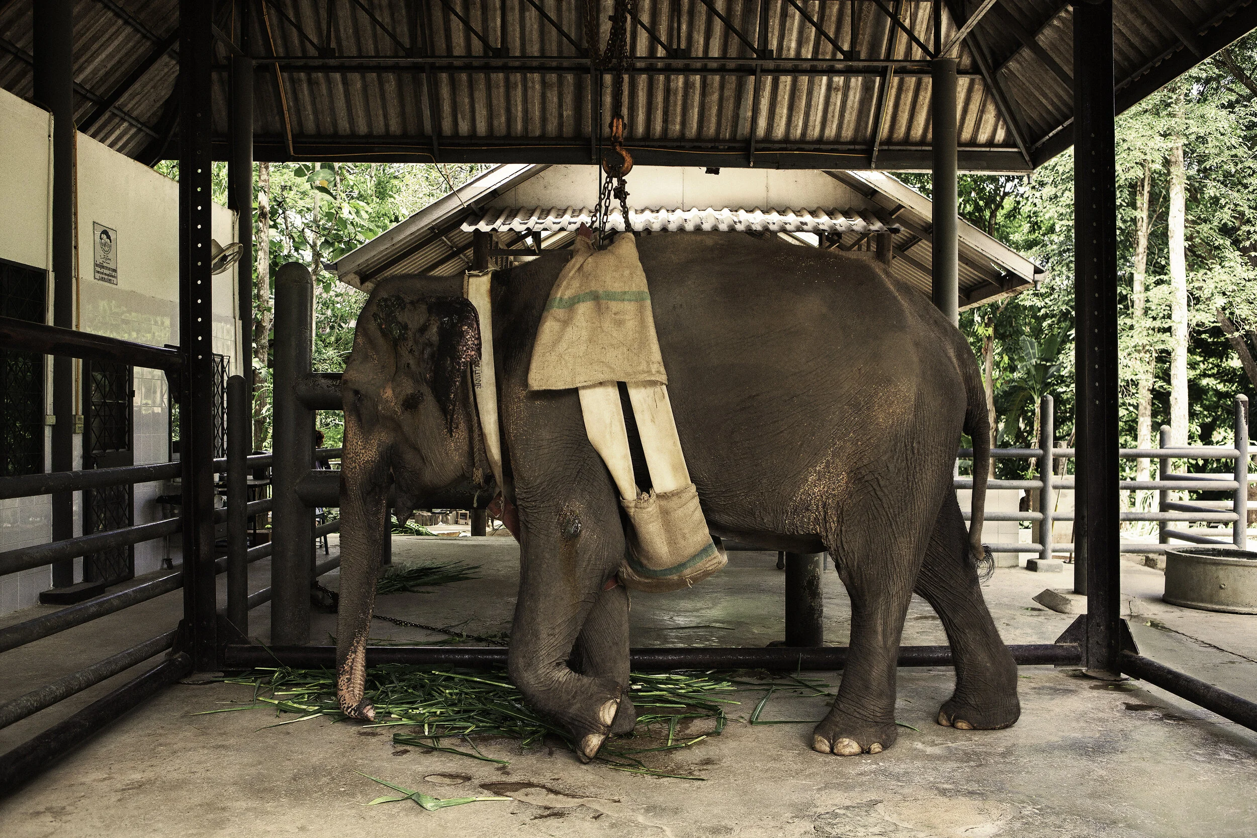 Personal_FAE_Thailand_2015_IMG_2258.jpg