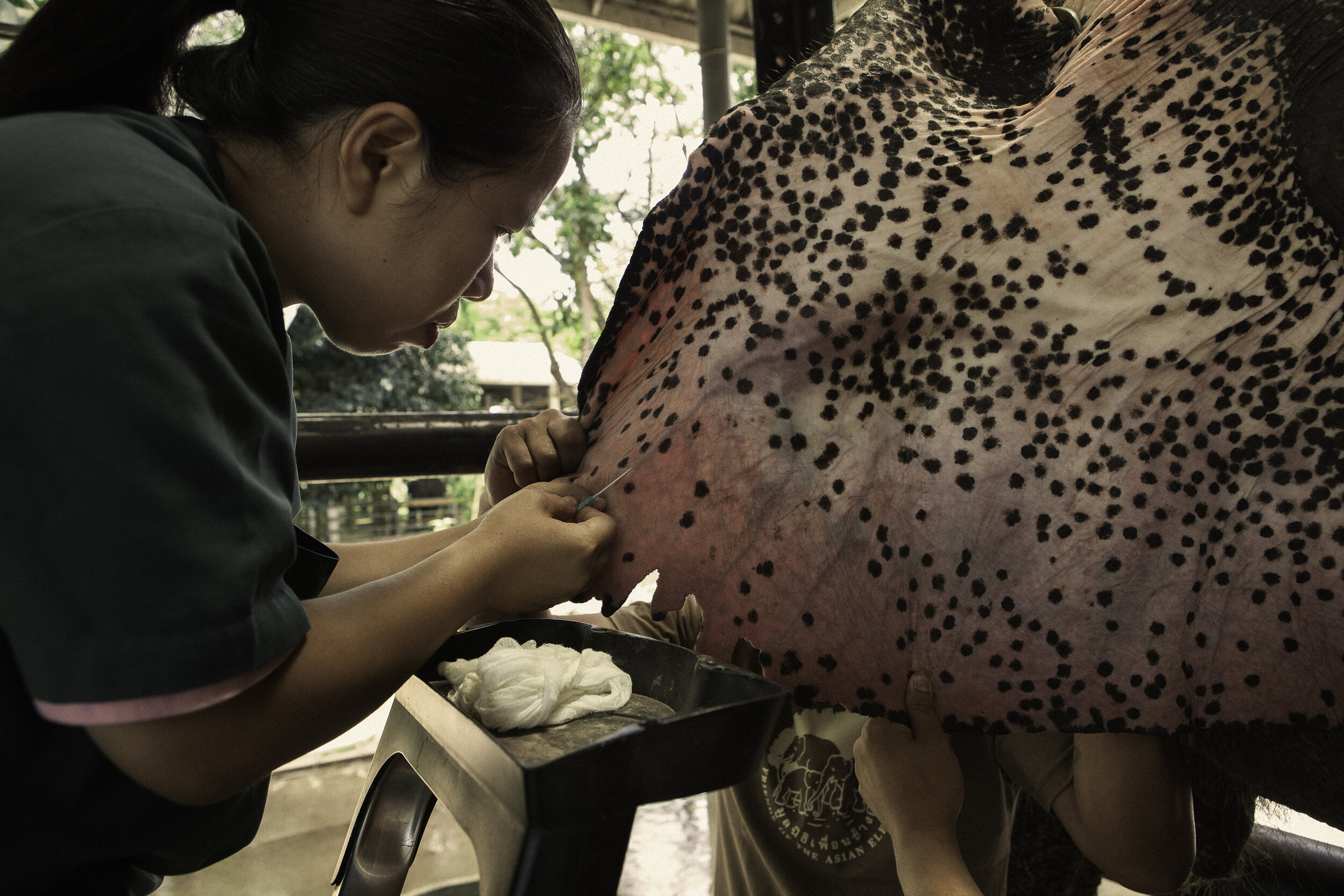 Personal_FAE_Thailand_2015_IMG_2320.jpg