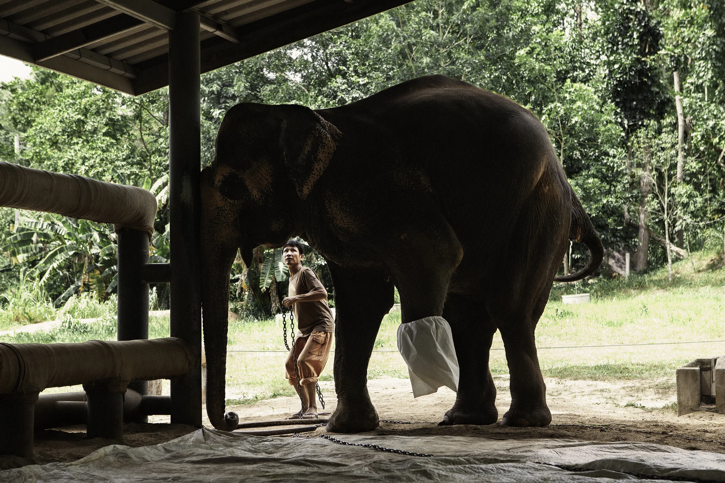 Personal_FAE_Thailand_2015_IMG_2416.jpg