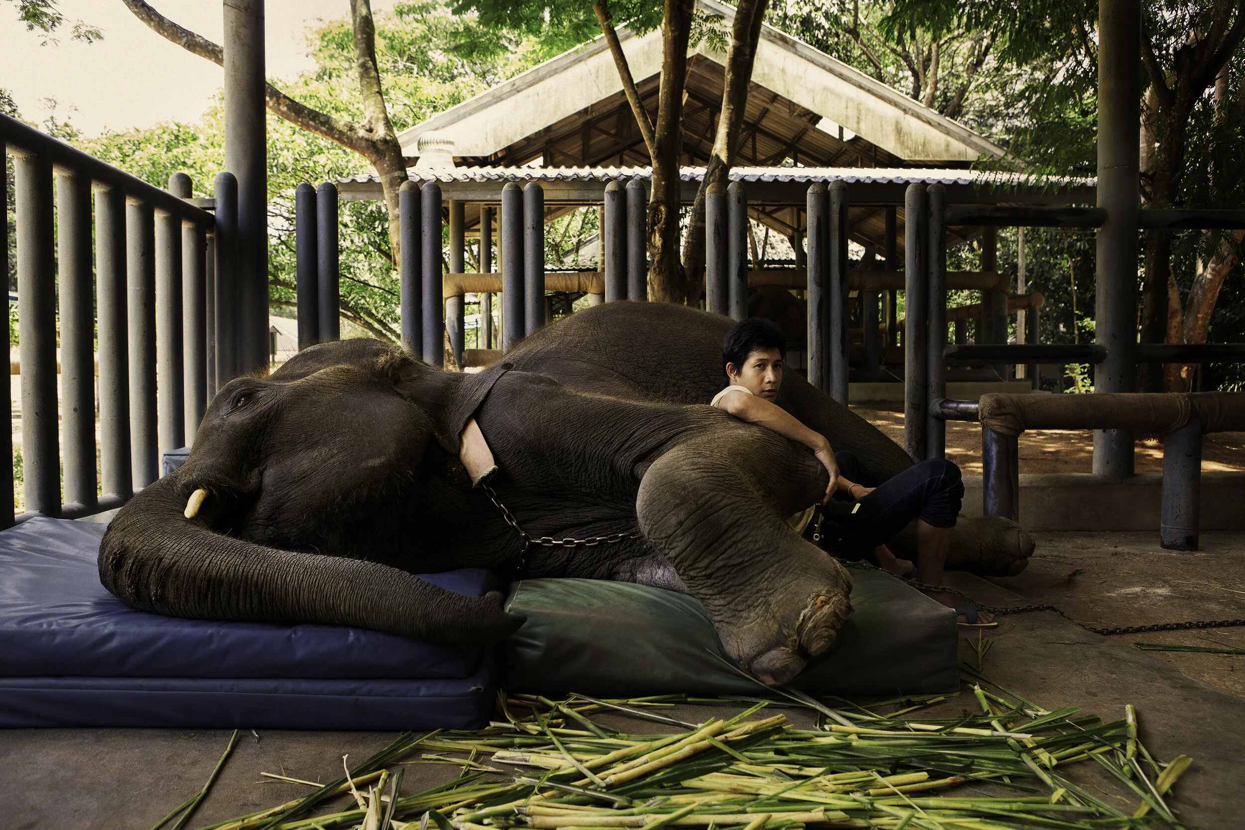 Personal_FAE_Thailand_2015_IMG_2853.jpg