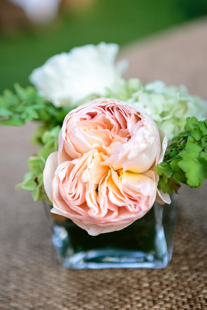 millefleurs_twickingham-19-of-581.jpg