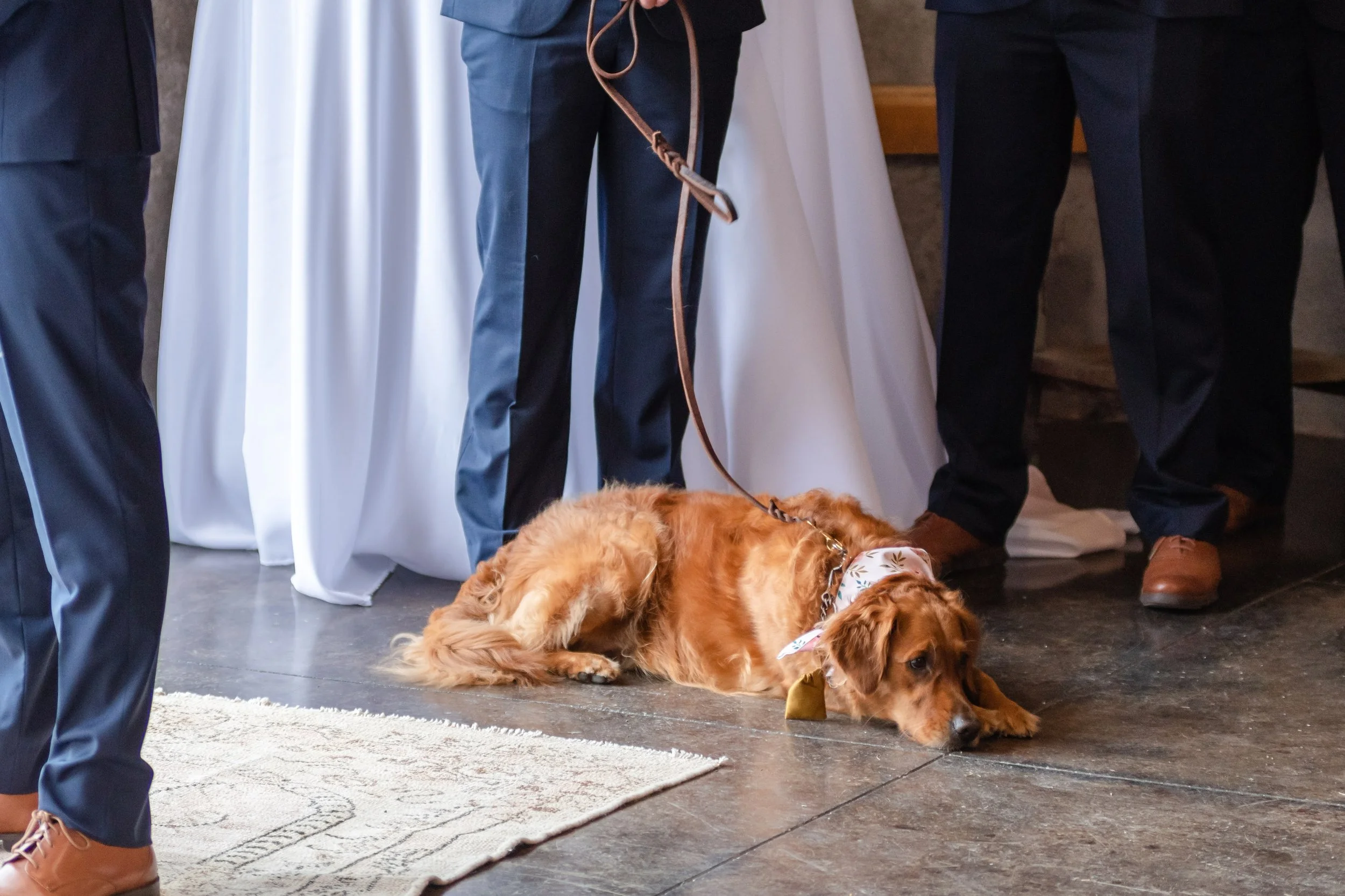 Paula & Franklin - Highlights-148.jpg