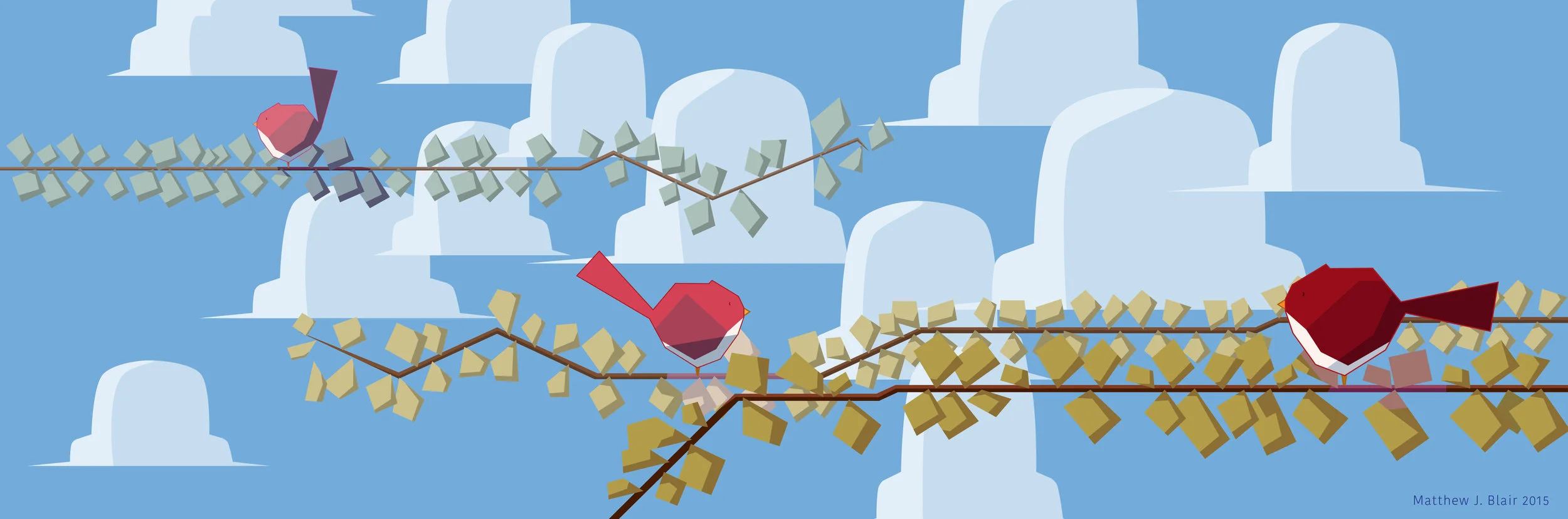 birdfull-01.jpg