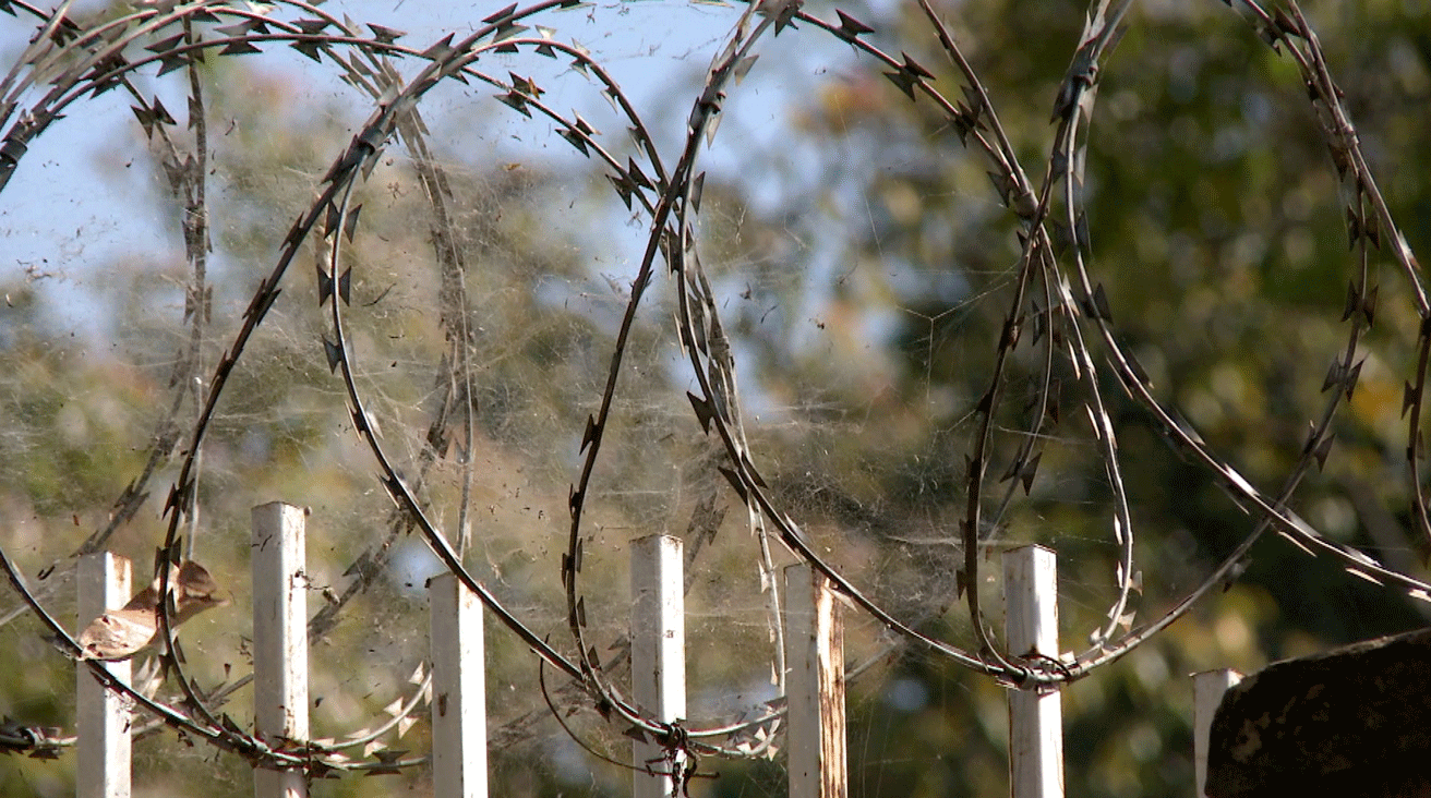 Uganda-Barb-Wire.png