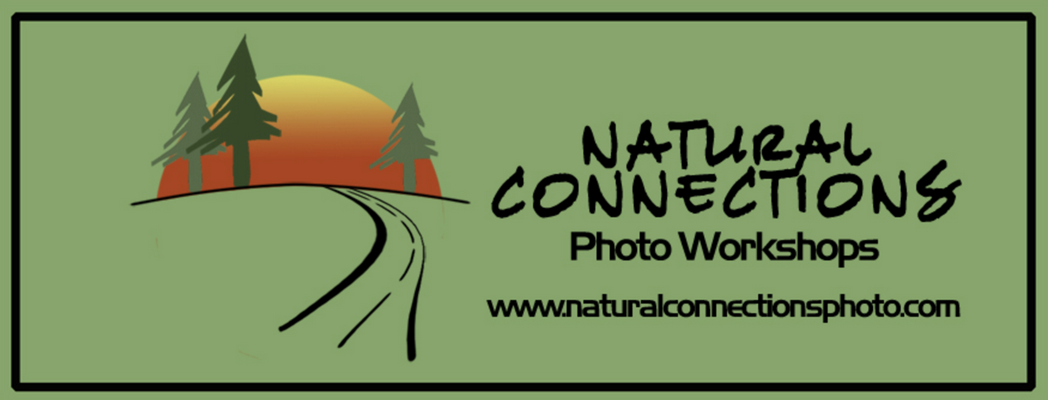 We offer 1 - 6 day photography workshops and camera instruction in some of the most beautiful and exciting locations all over the United States. Our workshops and classes are for ALL skill levels. Anyone who has an interest in seeing beautiful places and capturing amazing images (while having fun doing it!) belongs on our photography workshops.